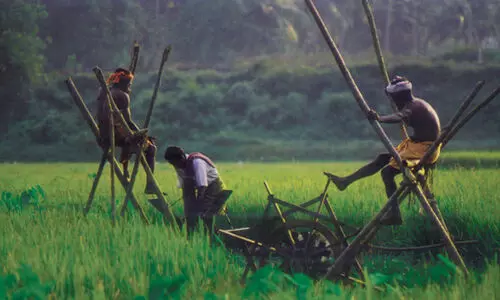 കാലാവസ്ഥ മുന്നറിയിപ്പ്​; മഴപ്പേടിയിൽ കുട്ടനാട്‌