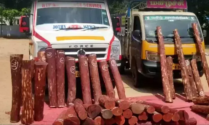 ആംബുലൻസിൽ കടത്തിയ ഒരു കോടി രൂപയുടെ രക്തചന്ദനത്തടികൾ പിടികൂടി