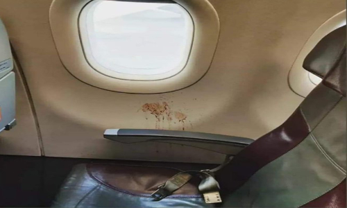 വിമാനത്തിനുള്ളിൽ കണ്ട മുറുക്കാൻ കറയുടെ ചിത്രം പങ്കുവെച്ച് ഐ.എ.എസ് ഉദ്യോഗസ്ഥൻ