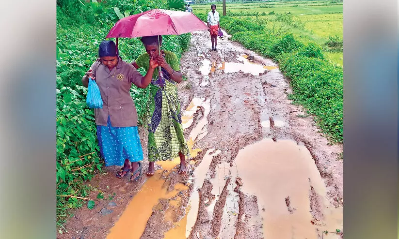 ചളിക്കുളമായി റോഡ്; ദുരിതത്തിലായി കോളനിവാസികൾ