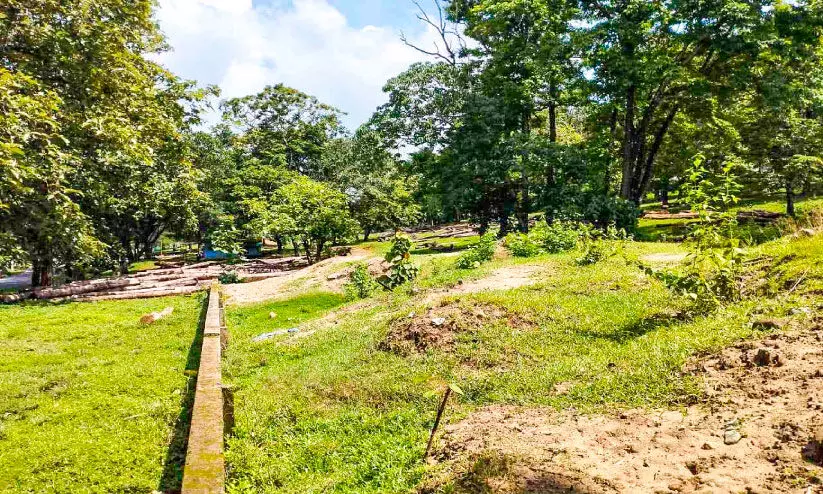 മണലിന് ആവശ്യക്കാരില്ല; വനം വകുപ്പ് പദ്ധതി പൊളിഞ്ഞു