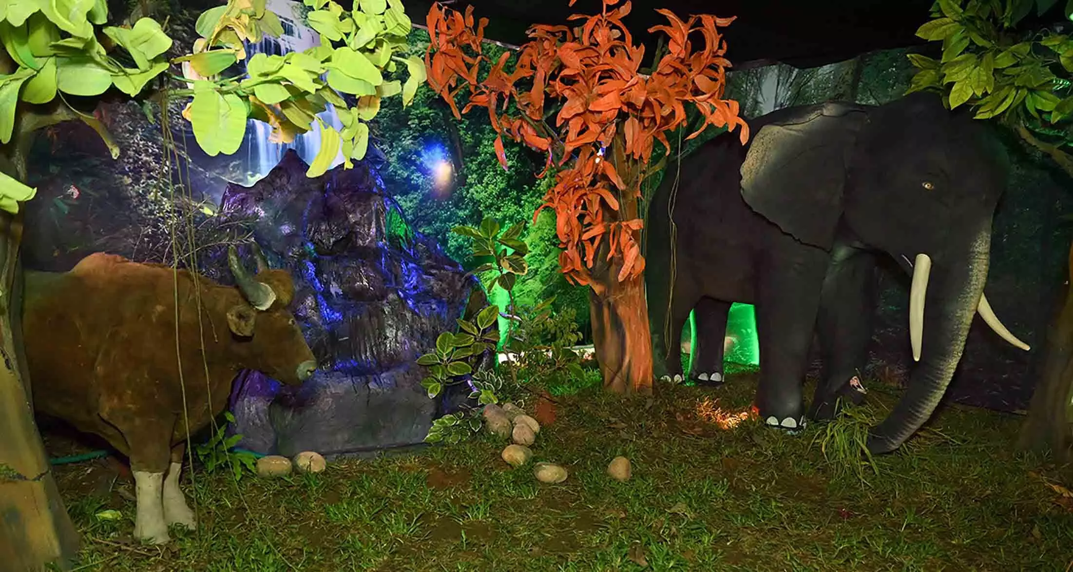 കാടറിവുമായി വനം വകുപ്പിന്റെ മെഗാ പ്രദര്‍ശന വിപണനമേള