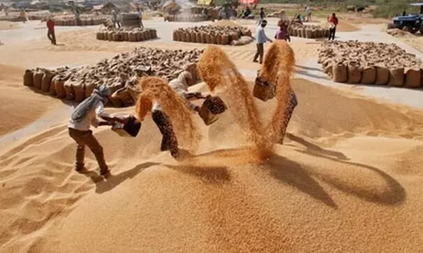 Wheat export banned India