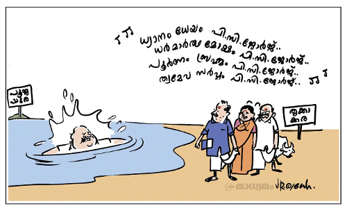 ജോർജിന് ജാമ്യം