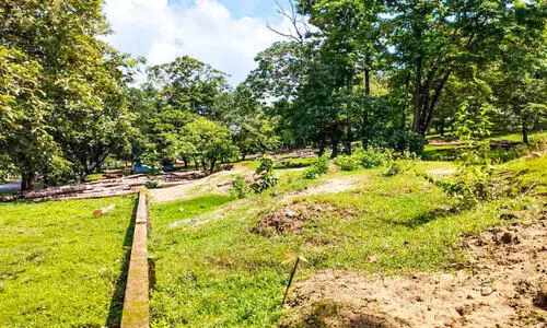 മണലിന് ആവശ്യക്കാരില്ല; വനം വകുപ്പ് പദ്ധതി പൊളിഞ്ഞു