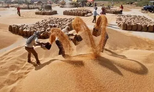 Wheat export banned India