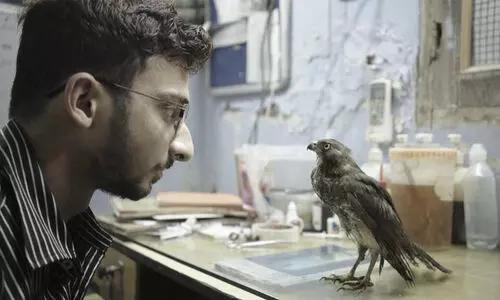 ഇന്ത്യയുടെ ഓൾ ദാറ്റ് ബ്രീത്സിന് കാൻ ഡോക്യുമെന്ററി പുരസ്കാരം