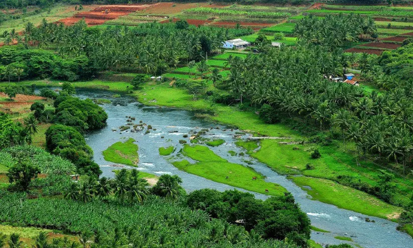 മഞ്ഞുപെയ്യുന്ന അട്ടപ്പാടി