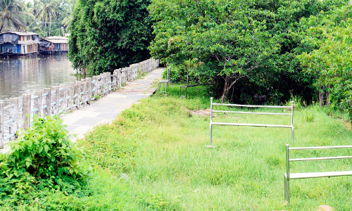 കാടുകയറി കായലോര ടൂറിസം പദ്ധതി