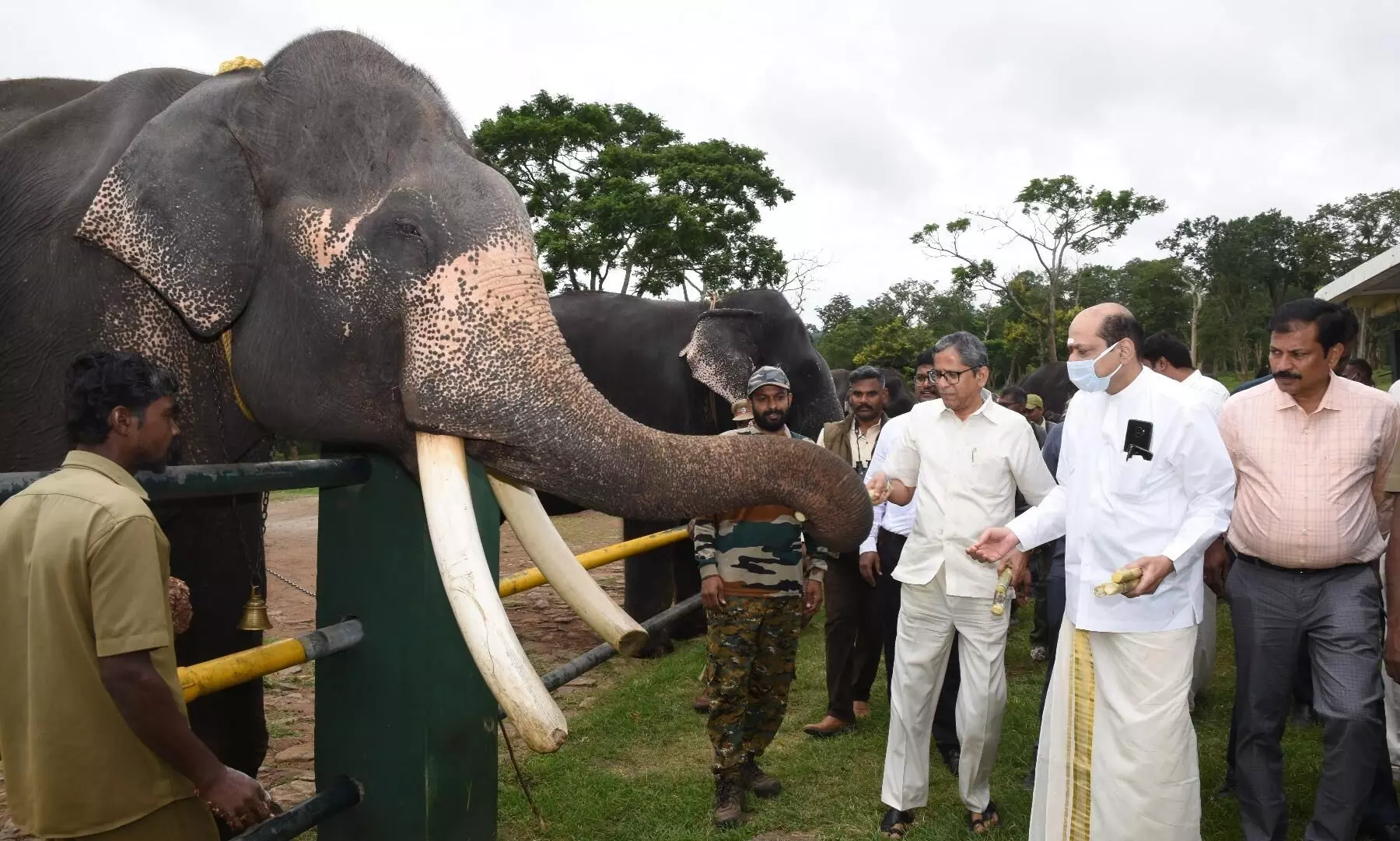 ചീഫ് ജസ്റ്റിസ് എൻ.വി രമണ മുതുമല സന്ദർശിച്ചു