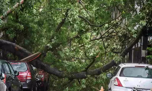 ഡൽഹിയിൽ ശക്തമായ കാറ്റും മഴയും; രണ്ടുപേർ മരിച്ചു