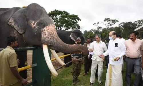 ചീഫ് ജസ്റ്റിസ് എൻ.വി രമണ മുതുമല സന്ദർശിച്ചു