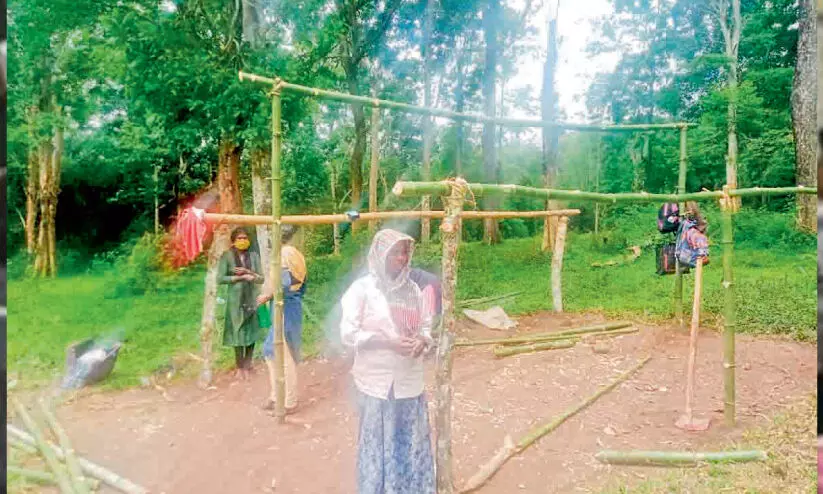 പാമ്പ്ര എസ്റ്റേറ്റിൽ ഗോത്രമഹാസഭ കുടിൽകെട്ടി സമരം തുടങ്ങി പാമ്പ്ര എസ്റ്റേറ്റിൽ ഗോത്രമഹാസഭ കുടിൽകെട്ടി സമരം തുടങ്ങി