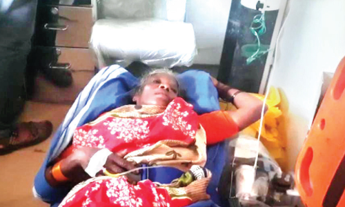 ദുരിതം വിതച്ച് കാട്ടാനകൾ; ആക്രമണത്തിൽ ആദിവാസി വീട്ടമ്മക്ക് പരിക്ക്