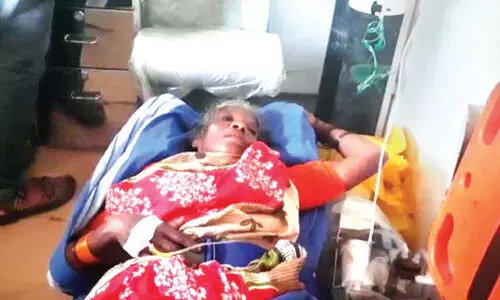 ദുരിതം വിതച്ച് കാട്ടാനകൾ; ആക്രമണത്തിൽ ആദിവാസി വീട്ടമ്മക്ക് പരിക്ക്