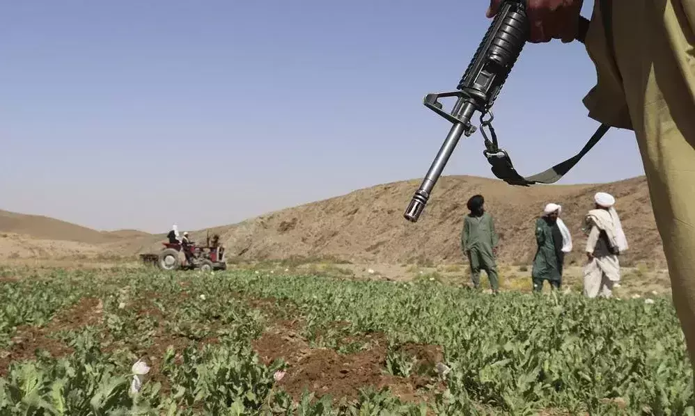 Taliban bans poppy cultivation