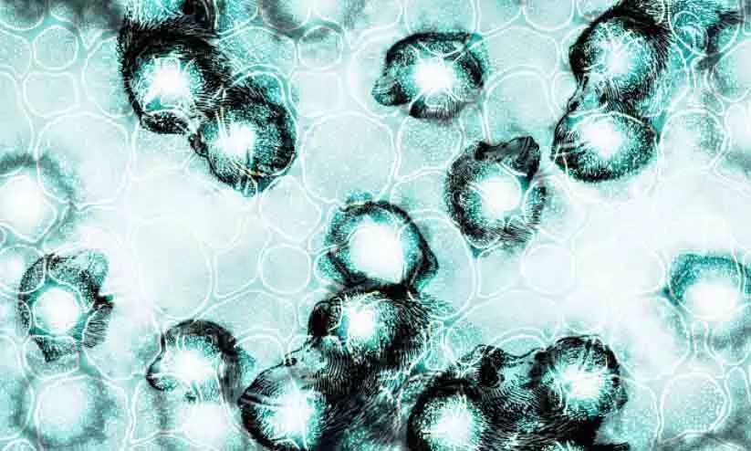 നാലുപേർക്കുകൂടി മങ്കിപോക്സ് നാലുപേർക്കുകൂടി മങ്കിപോക്സ്