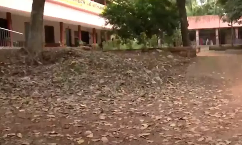 സ്കൂൾ വളപ്പിൽ നാലാം ക്ലാസുകാരന് പാമ്പുകടിയേറ്റു