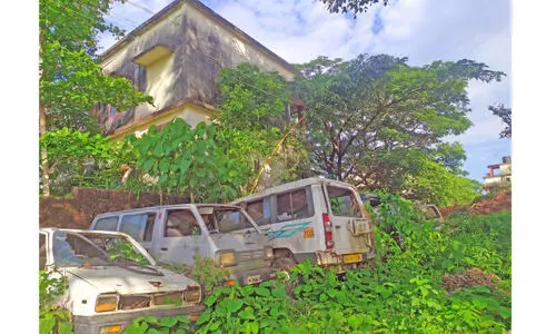 കുമ്പള ഹയർ സെക്കൻഡറി വിദ്യാർഥികളെ വരവേറ്റത് കൊതുകുകൾ