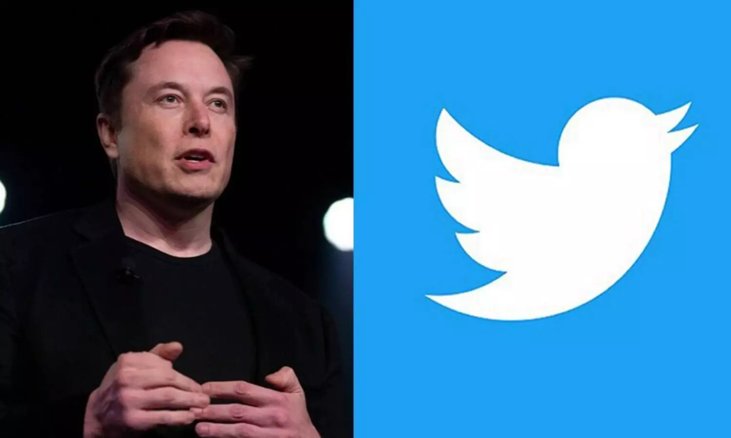 ട്വിസ്റ്റ്: ട്വിറ്റർ വാങ്ങാൻ തയാറെന്ന് ഇലോൺ മസ്ക്