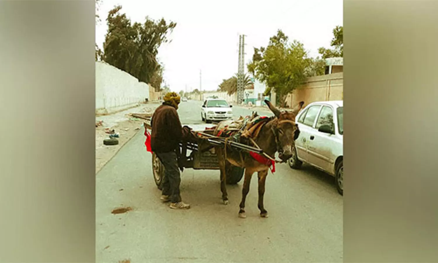 ജോലിസ്ഥലത്തെത്താൻ കഴുത വണ്ടി വേണം; അനുമതി തേടി പാക് വ്യോമയാന ജീവനക്കാരൻ
