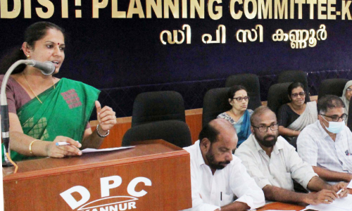 കാട്ടാനശല്യം: ഫെൻസിങ് മാപ്പ് തയാറാക്കാൻ നിർദേശം