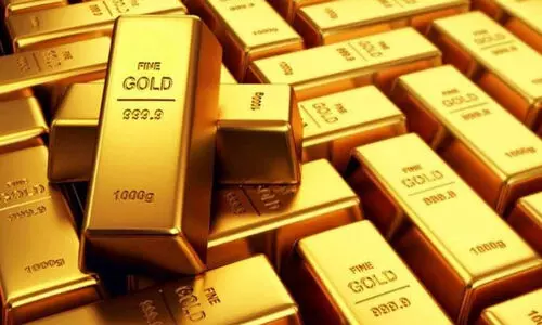 സ്വർണക്കടത്ത് ഭീകരപ്രവർത്തനമായി കാണാനാകില്ലെന്ന് കോടതി