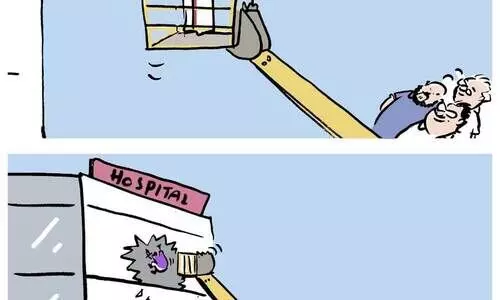 തൃക്കാക്കര_2022