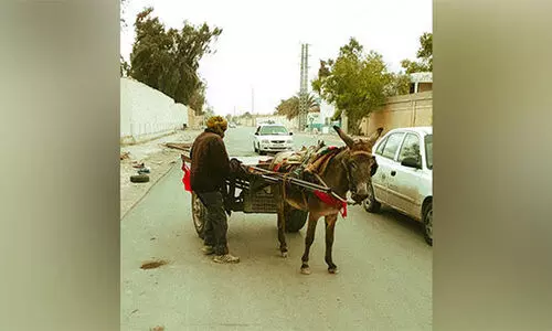 ജോലിസ്ഥലത്തെത്താൻ കഴുത വണ്ടി വേണം; അനുമതി തേടി പാക് വ്യോമയാന ജീവനക്കാരൻ