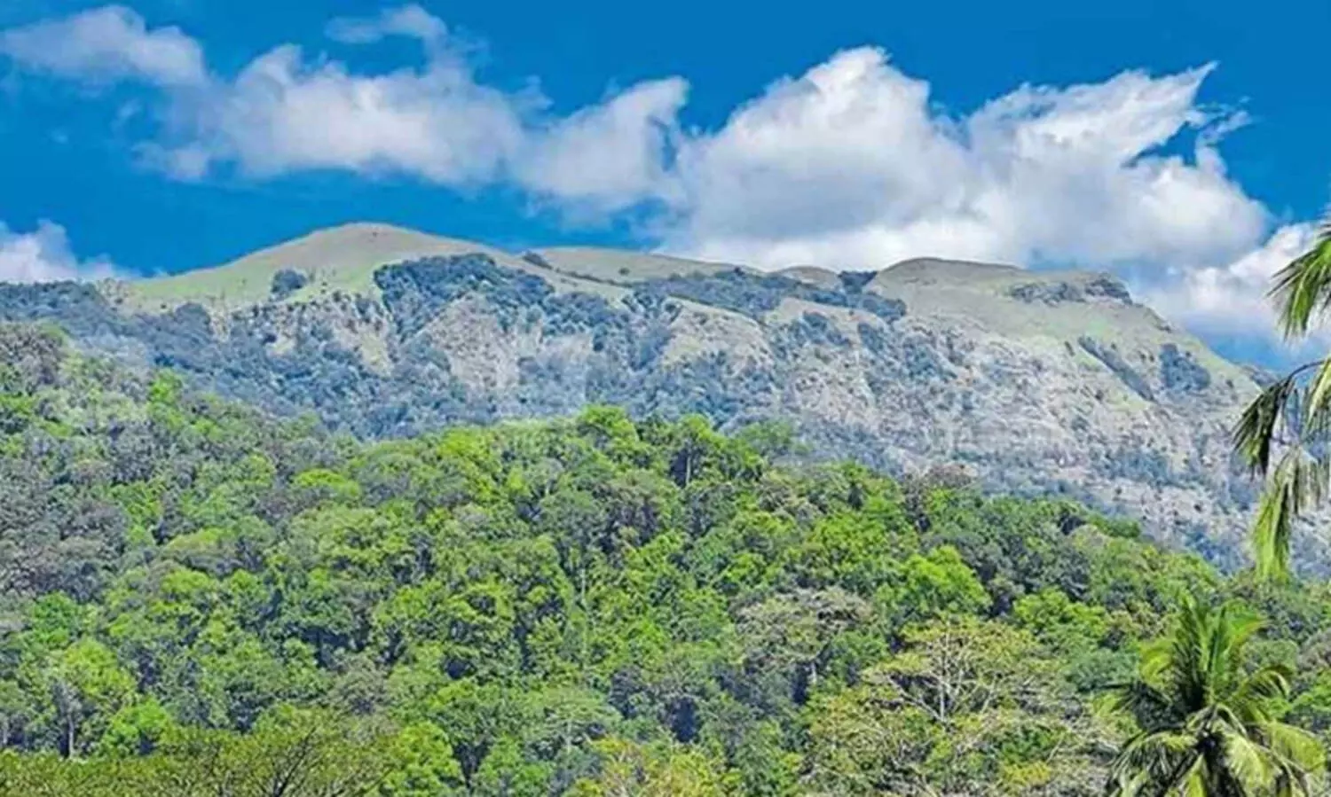 പരിസ്ഥിതിലോല മേഖല: വിധിയിൽ ആശങ്ക