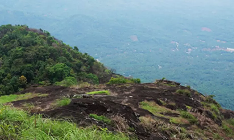 പാലുകാച്ചിമല ഇക്കോ ടൂറിസം പദ്ധതിക്ക് തുടക്കം