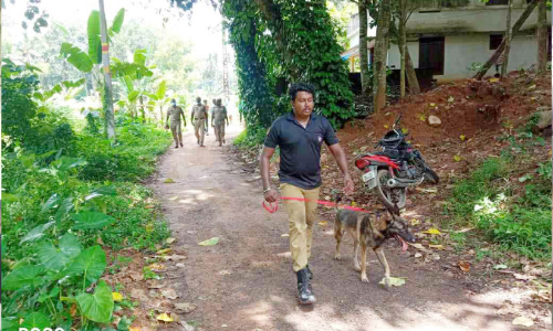 ഉറങ്ങിക്കിടന്ന യുവതിയുടെ മാല കവർന്നു