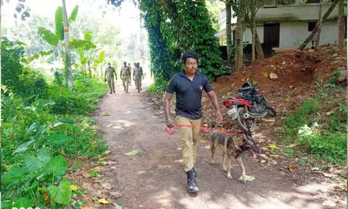 ഉറങ്ങിക്കിടന്ന യുവതിയുടെ മാല കവർന്നു