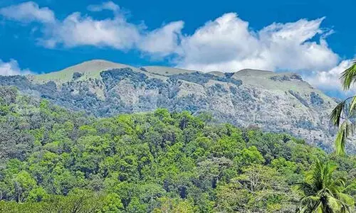 പരിസ്ഥിതിലോല മേഖല: വിധിയിൽ ആശങ്ക