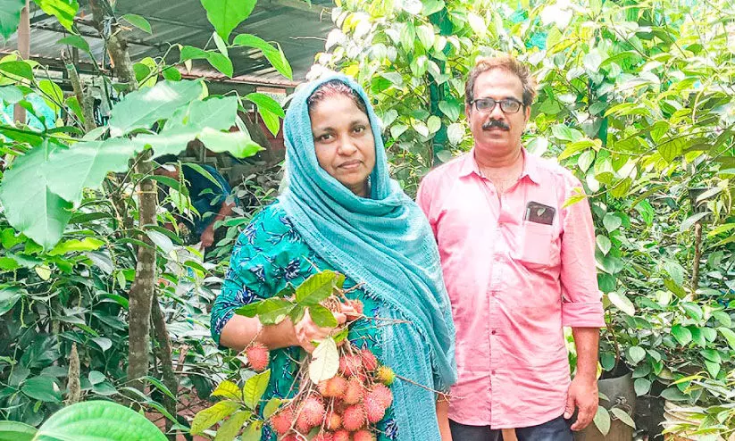 പ്രകൃതിയുടെ കുടപിടിച്ച് സാജിതയുടെ പറുദീസ