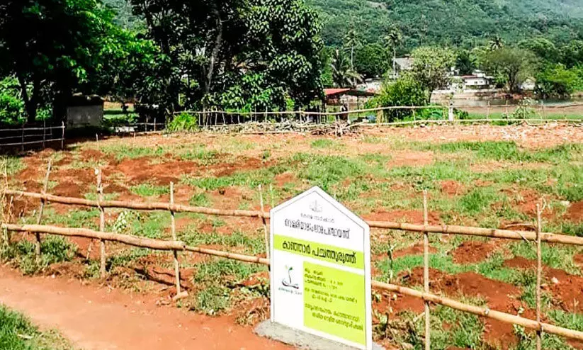 വീണ്ടെടുക്കാം ആ പച്ചപ്പിനെ വീണ്ടെടുക്കാം ആ പച്ചപ്പിനെ