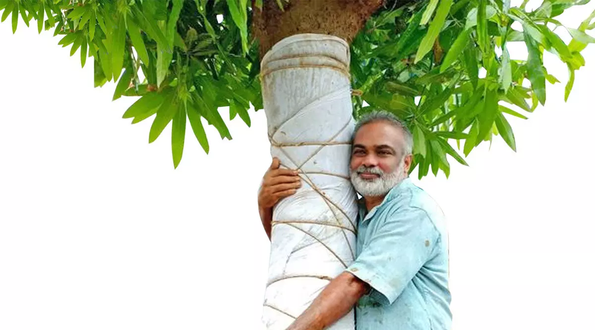 മരവൈദ്യൻ മരവൈദ്യൻ