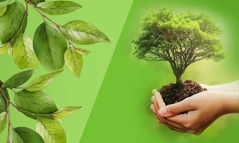 Nature Conservation Day