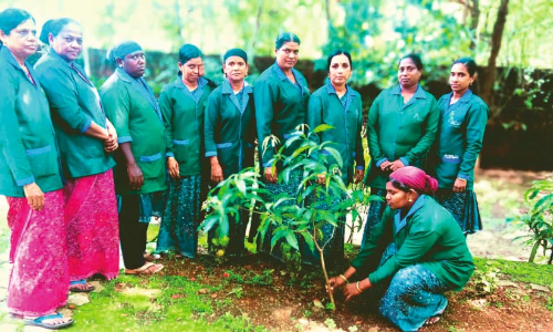 ഇവരാണ് കോട്ടക്കുന്നിലെ പച്ചപ്പിന്‍റെ കാവൽക്കാർ