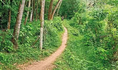 കൃഷിയിടങ്ങളിലേക്ക് വഴിയില്ല; കർഷകർ ദുരിതത്തിൽ