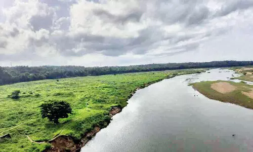 നിള മെലിഞ്ഞുണങ്ങുന്നു