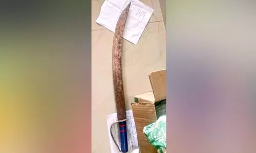 പരിശോധനക്കിടെ കടന്നുകളഞ്ഞ് അപകടത്തിൽപെട്ട കാറിൽനിന്ന് വാൾ കണ്ടെത്തി