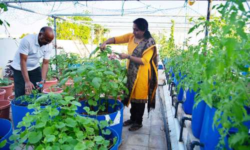 കൃ​ഷി​യു​ടെ പു​ത്ത​ൻ വ​​ഴി​തേ​ടി​ കൃ​ഷി​ക്കൂ​ട്ടം