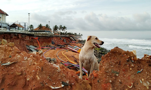 കടലിനെ കോർപറേറ്റുകൾക്ക് തീറെഴുതി; തീരങ്ങൾ മാഞ്ഞു
