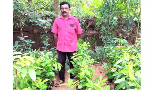 ഭൂമിക്ക് കരുതലൊരുക്കി പരിസ്ഥിതി പ്രവർത്തകൻ