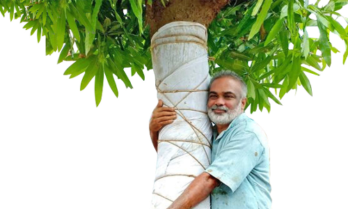 മരവൈദ്യൻ