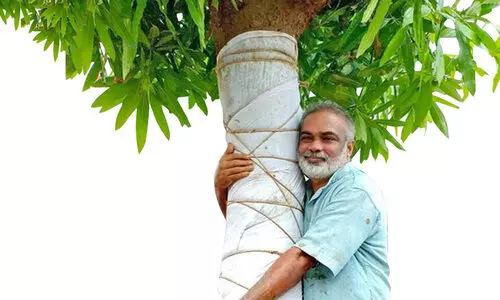 മരവൈദ്യൻ