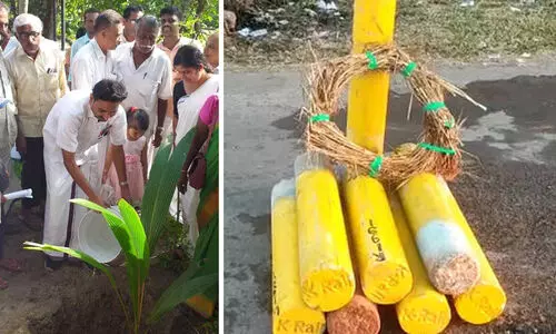 കെ റെയിൽ കുറ്റി പിഴുത് മരംനട്ട് പരിസ്ഥിതി ദിനാചരണം