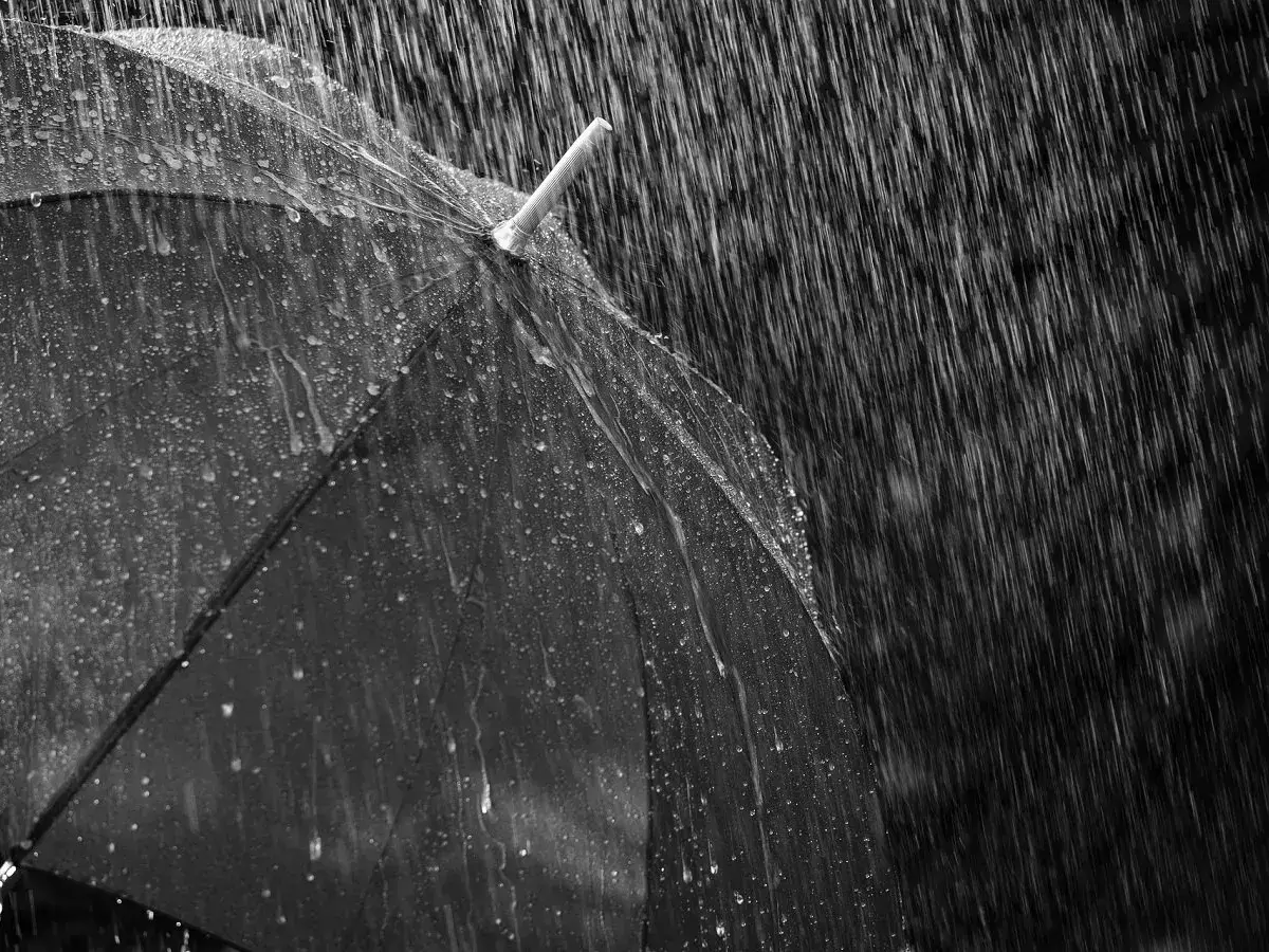 ഒരാഴ്ച പിന്നിട്ട് കാലവർഷം; സംസ്ഥാനത്ത് 48 ശതമാനം മഴ കുറവ് ഒരാഴ്ച പിന്നിട്ട് കാലവർഷം; സംസ്ഥാനത്ത് 48 ശതമാനം മഴ കുറവ്