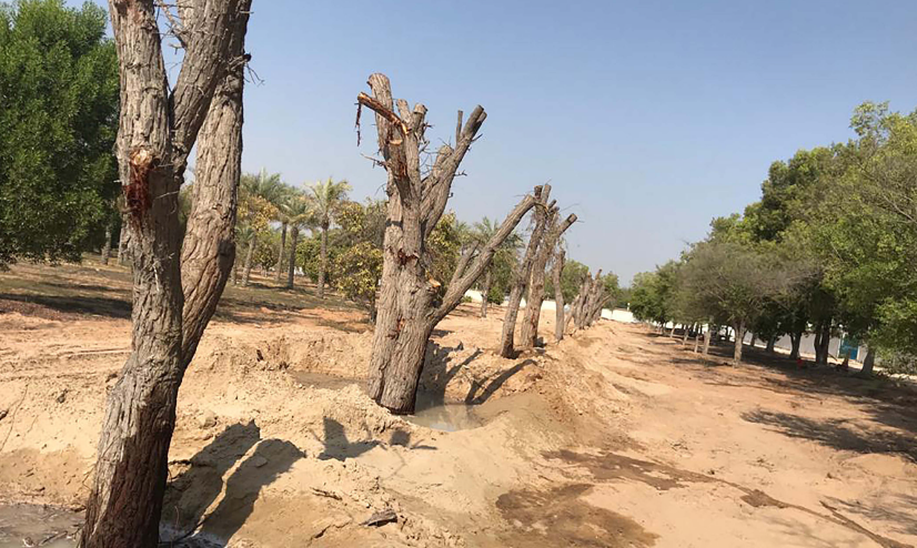 ഇത്തിഹാദ് റെയിൽ പ്രകൃതിയെ നോവിക്കില്ല